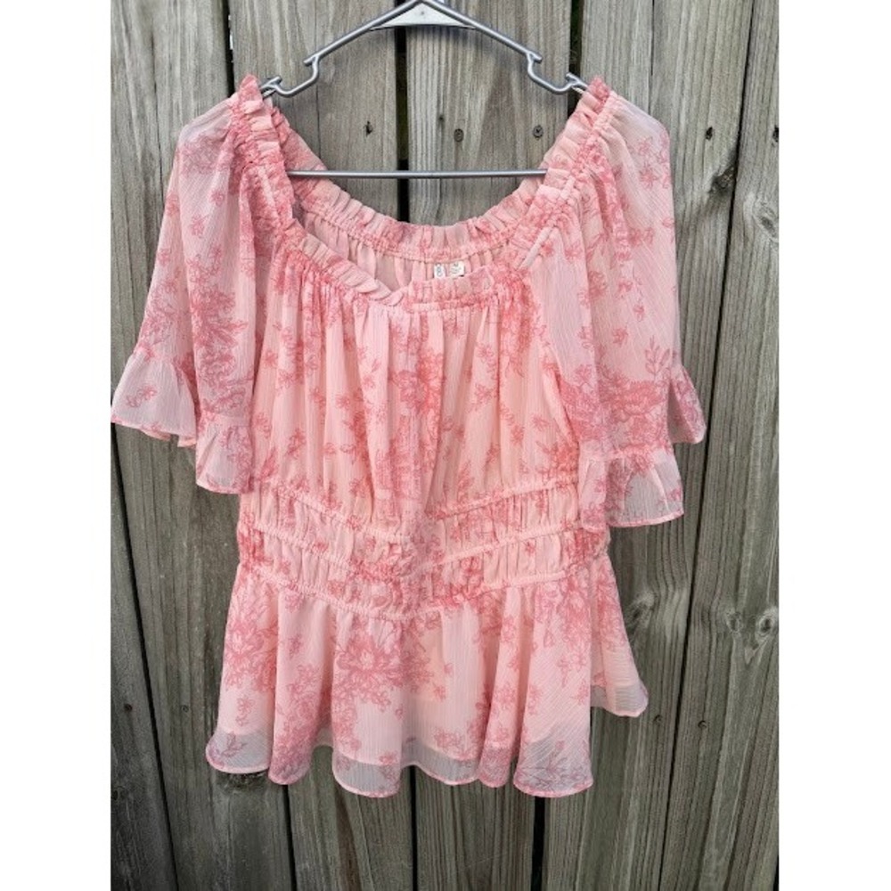 Cottagecore Romantic Cato Floral Smocked Peplum Blouse Medium Pink Toile Chiffon
